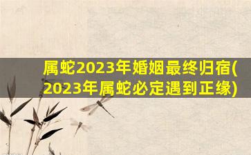 <strong>属蛇2023年婚姻最终归宿</strong>