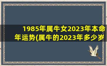<strong>1985年属牛女2023年本命年</strong>