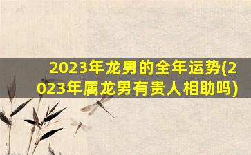 2023年龙男的全年运势(