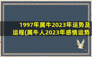 <strong>1997年属牛2023年运势及运</strong>