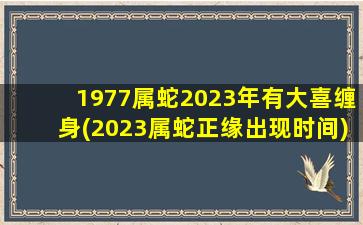 1977属蛇2023年有大喜缠身(2023属蛇正缘出现时间)