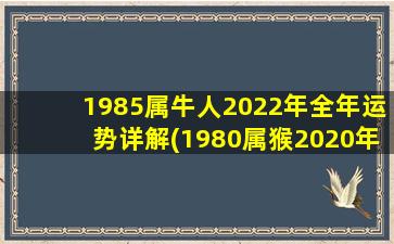 1985属牛人2022年全年运势详解(1980属猴2020年运势及运程)