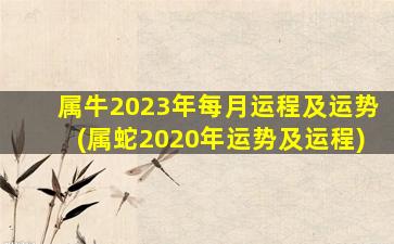 属牛2023年每月运程及运势(属蛇2020年运势及运程)