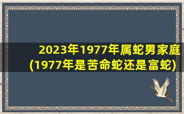 <strong>2023年1977年属蛇男家庭</strong>
