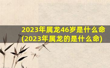 2023年属龙46岁是什么命(2023年属龙的是什么命)