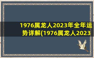 1976属龙人2023年全年运势详解(1976属龙人2023年每月运势详解)