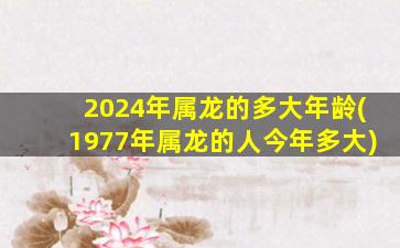 2024年属龙的多大年龄(19