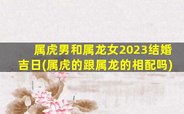 属虎男和属龙女2023结婚吉日(属虎的跟属龙的相配吗)