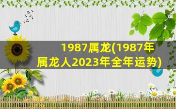 1987属龙(1987年属龙人2023年全年运势)
