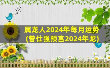 属龙人2024年每月运势(曾