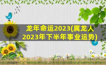 龙年命运2023(属龙人2023年下半年事业运势)