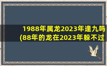 1988年属龙2023年逢九吗(8