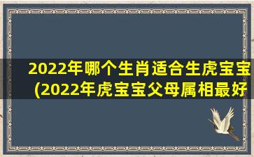 <strong>2022年哪个生肖适合生虎</strong>
