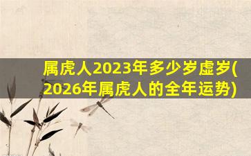 属虎人2023年多少岁虚岁(2026年属虎人的全年运势)