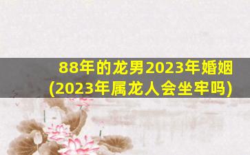 88年的龙男2023年婚姻(202