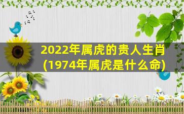 2022年属虎的贵人生肖(