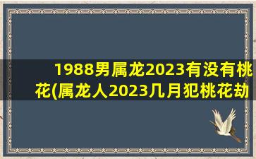 1988男属龙2023有没有桃花