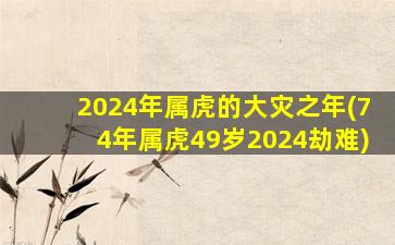 2024年属虎的大灾之年(