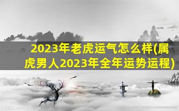 2023年老虎运气怎么样(属虎男人2023年全年运势运程)