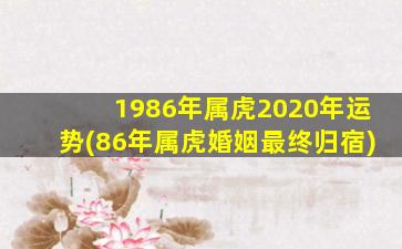 1986年属虎2020年运势(86年属虎婚姻最终归宿)