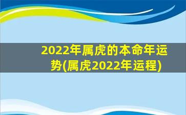 2022年属虎的本命年运势(属虎2022年运程)