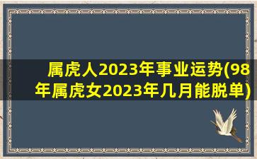 属虎人2023年事业运势(98年属虎女2023年几月能脱单)