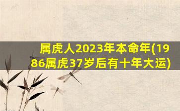 <strong>属虎人2023年本命年(198</strong>