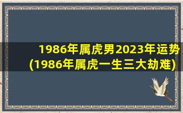 1986年属虎男2023年运势(1