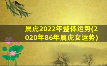 属虎2022年整体运势(2020年86年属虎女运势)