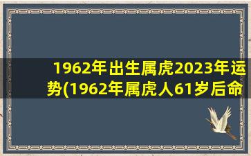1962年出生属虎2023年运势
