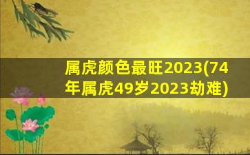 <strong>属虎颜色最旺2023(74年属</strong>