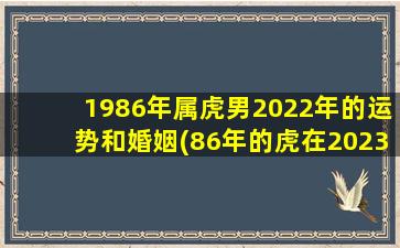 1986年属虎男2022年的运势和婚姻(86年的虎在2023年躲不过的灾)