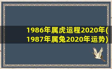 1986年属虎运程2020年(1987年属兔2020年运势)