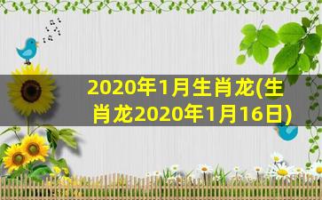 2020年1月生肖龙(生肖龙2