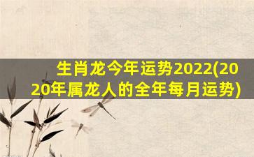 生肖龙今年运势2022(2020年