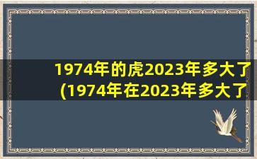 1974年的虎2023年多大了(1974年在2023年多大了)