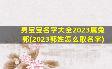 男宝宝名字大全2023属兔郭(2023郭姓怎么取名字)
