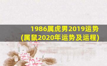 1986属虎男2019运势(属鼠