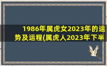 1986年属虎女2023年的运势及运程(属虎人2023年下半年运势及运程)