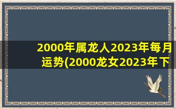 2000年属龙人2023年每月运
