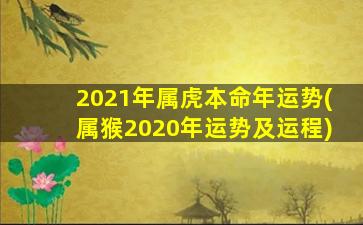 2021年属虎本命年运势(属