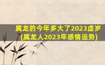 属龙的今年多大了2023虚岁(属龙人2023年感情运势)