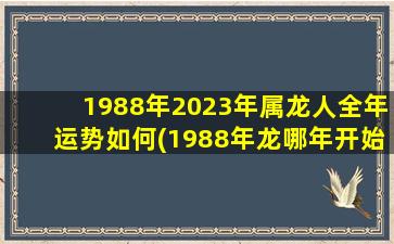 1988年2023年属龙人全年运势