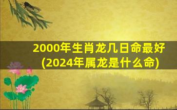 2000年生肖龙几日命最好(2024年属龙是什么命)
