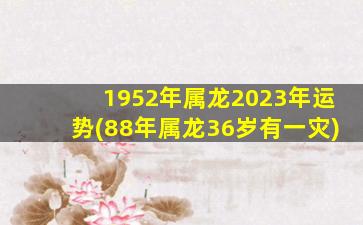 1952年属龙2023年运势(88年属