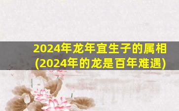 2024年龙年宜生子的属相(2024年的龙是百年难遇)