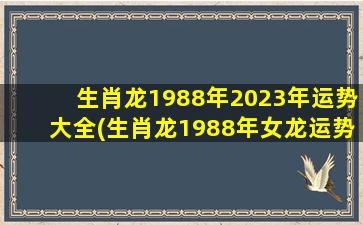 生肖龙1988年2023年运势大
