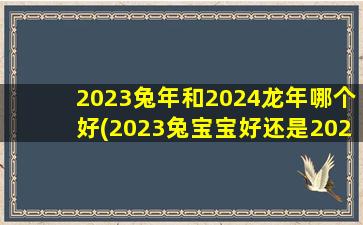 2023兔年和2024龙年哪个好(2023兔宝宝好还是2024龙宝宝好)