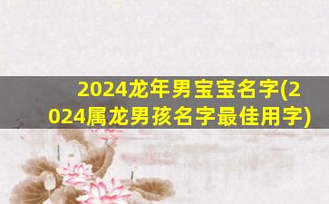2024龙年男宝宝名字(2024属