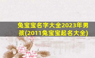 兔宝宝名字大全2023年男孩(2011兔宝宝起名大全)